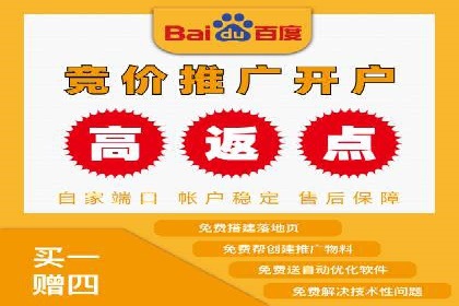 某企业SEM广告投放的转化率提升秘诀